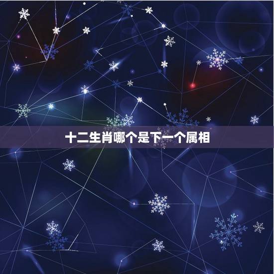 十二生肖哪个是下一个属相，十二生肖是什么？（按顺序）