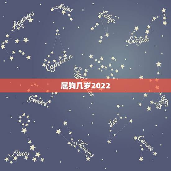 属狗几岁2022,2023年属狗人的全年运势 属狗几岁2022,2023年属狗人的全年运势