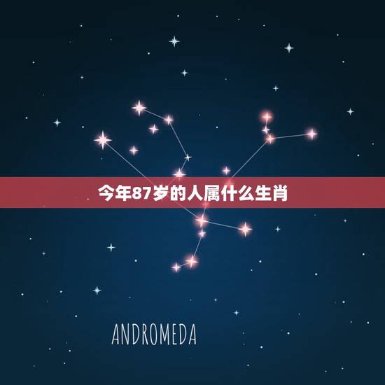 今年87岁的人属什么生肖,今年40岁属什么生肖 今年87岁的人属什么生肖,今年40岁属什么生肖