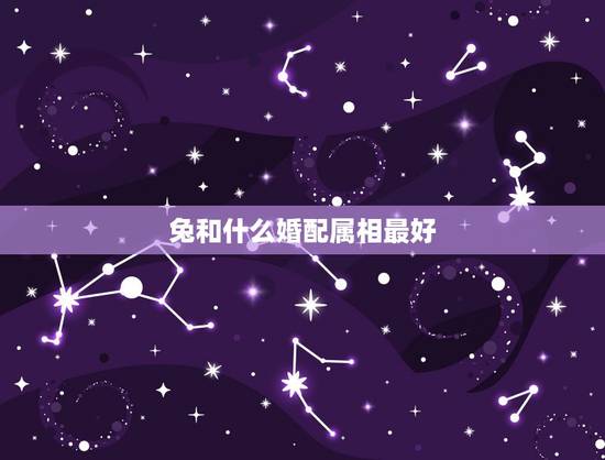 兔和什么婚配属相最好,男兔和什么属相最配 兔和什么婚配属相最好,男兔和什么属相最配
