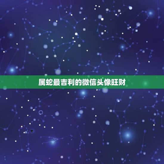 属蛇最吉利的微信头像旺财，属猪最旺财的微信头像