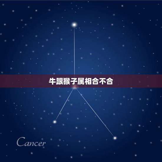 牛跟猴子属相合不合，牛跟猴子属相合不合