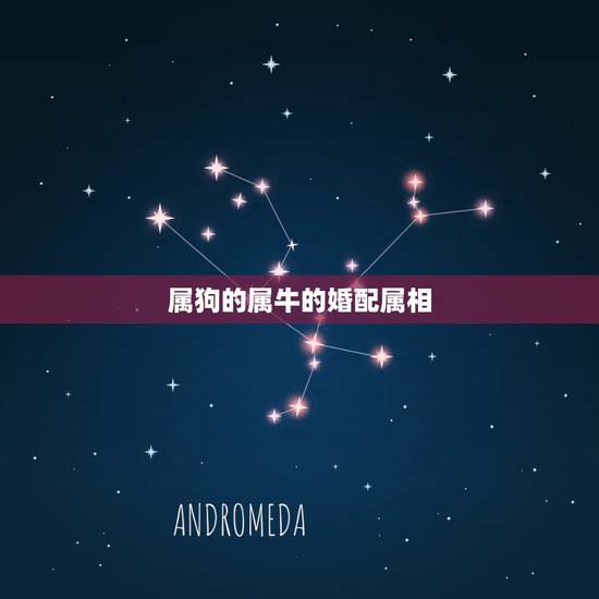 属狗的属牛的婚配属相,属狗的和属牛的人能合得来么? 属狗的属牛的婚配属相,属狗的和属牛的人能合得来么?