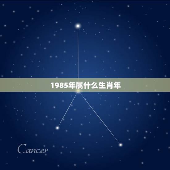 1985年属什么生肖年，1985年的生肖属什么