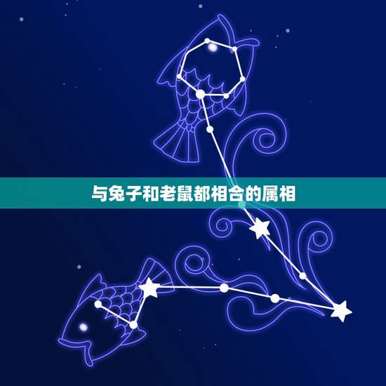 与兔子和老鼠都相合的属相,属相也会相生相克,属鼠和属兔为何是一对冤家? 与兔子和老鼠都相合的属相,属相也会相生相克,属鼠和属兔为何是一对冤家?