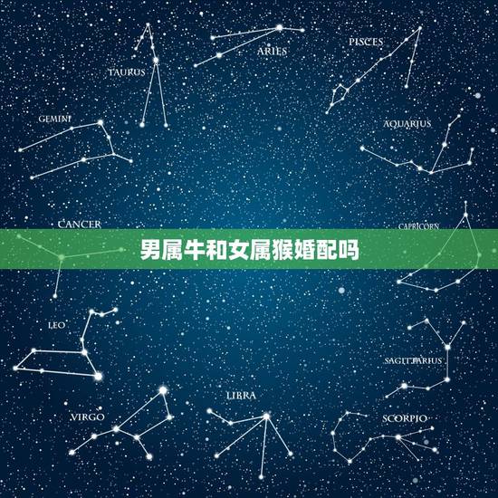 男属牛和女属猴婚配吗，男属牛和女属猴的和吗？