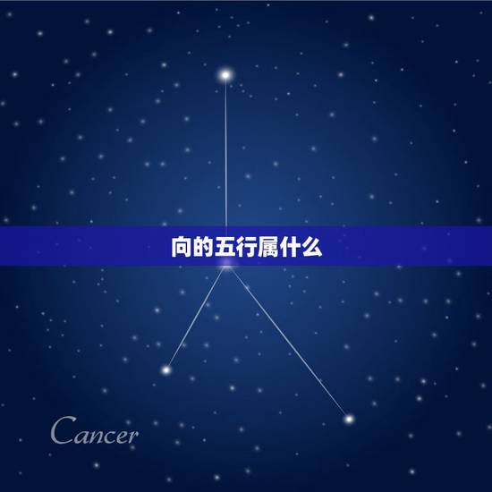 向的五行属什么,若字五行中属金木水火土哪一 向的五行属什么,若字五行中属金木水火土哪一