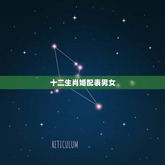 十二生肖婚配表男女，属相婚配