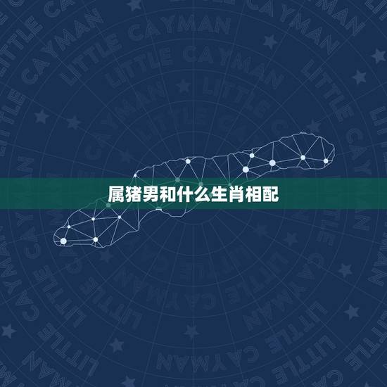 属猪男和什么生肖相配，属猪的男人对老婆好吗