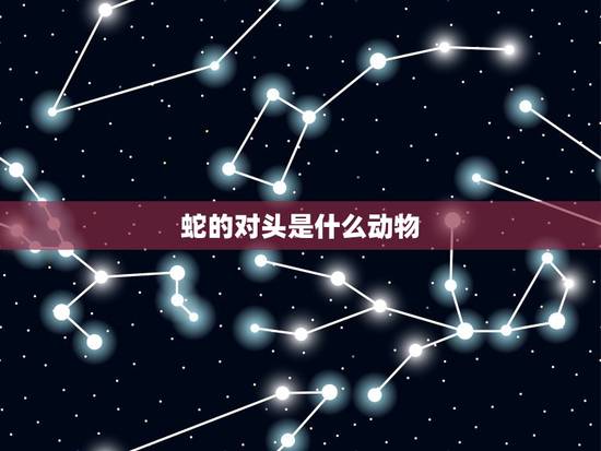 蛇的对头是什么动物,蛇的天敌是什么动物 蛇的对头是什么动物,蛇的天敌是什么动物