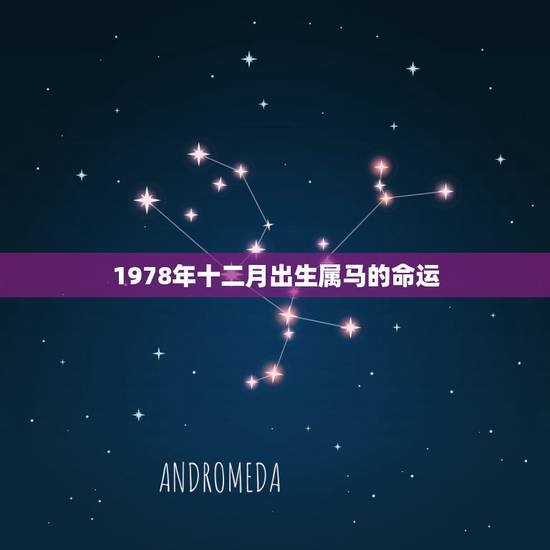 1978年十二月出生属马的命运,属马的十二月初一生日七八年的马今天出门 1978年十二月出生属马的命运,属马的十二月初一生日七八年的马今天出门