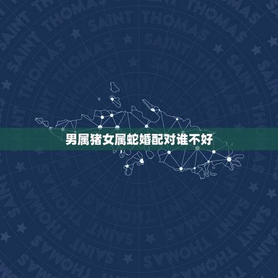 男属猪女属蛇婚配对谁不好，男属猪，女属蛇.婚配.