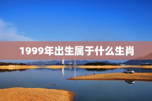 1999年出生属于什么生肖，1999年，是属于什么生肖。