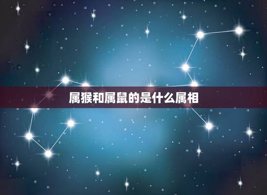 属猴和属鼠的是什么属相,属猴与属鼠的在一起怎么样? 属猴和属鼠的是什么属相,属猴与属鼠的在一起怎么样?