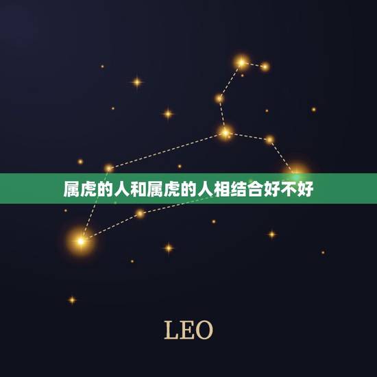 属虎的人和属虎的人相结合好不好,属虎的人和什么属相冲 属虎的人和属虎的人相结合好不好,属虎的人和什么属相冲