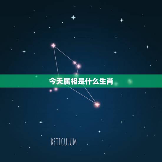 今天属相是什么生肖,今天十二生肖开什么生肖哪个号码 今天属相是什么生肖,今天十二生肖开什么生肖哪个号码