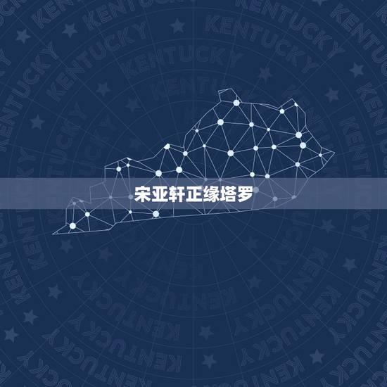 宋亚轩正缘塔罗，宋亚轩是怎么出道的