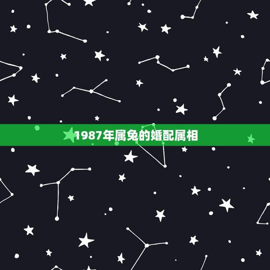 1987年属兔的婚配属相,1987女兔配什么属相更好 1987年属兔的婚配属相,1987女兔配什么属相更好