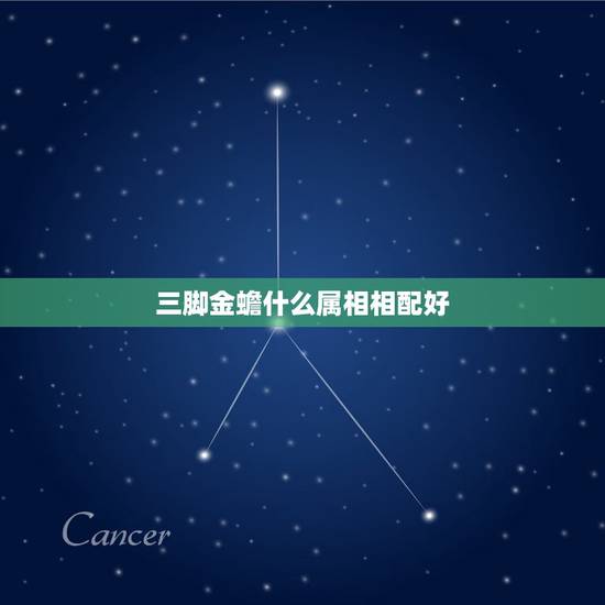 三脚金蟾什么属相相配好，三脚蟾蜍怎么摆放？