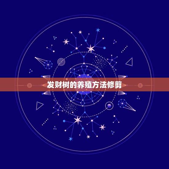 发财树的养殖方法修剪,大发财树怎么修剪枝叶 发财树的养殖方法修剪,大发财树怎么修剪枝叶