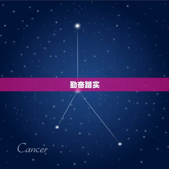 勤奋踏实