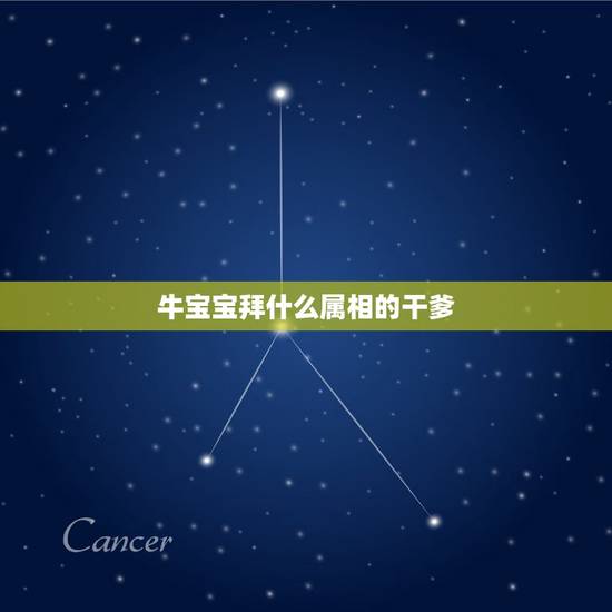 牛宝宝拜什么属相的干爹，属牛的认什么属相的干爹