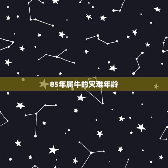 85年属牛的灾难年龄，属牛的人今年多大了