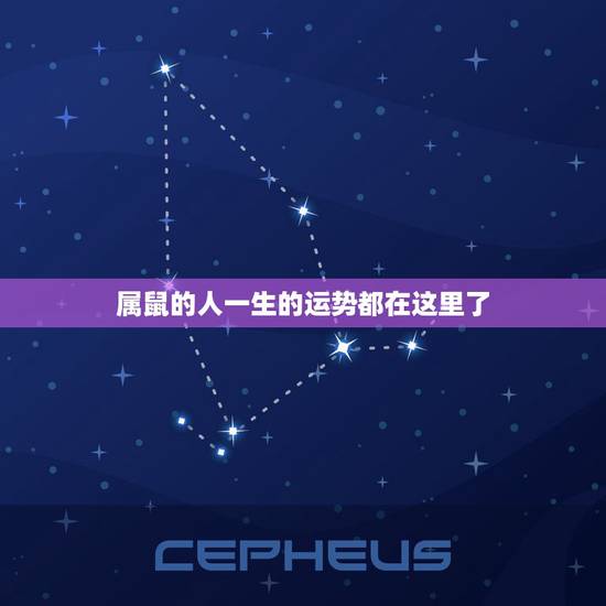 属鼠的人一生的运势都在这里了,84年属鼠人9月12生人一生的命运 属鼠的人一生的运势都在这里了,84年属鼠人9月12生人一生的命运