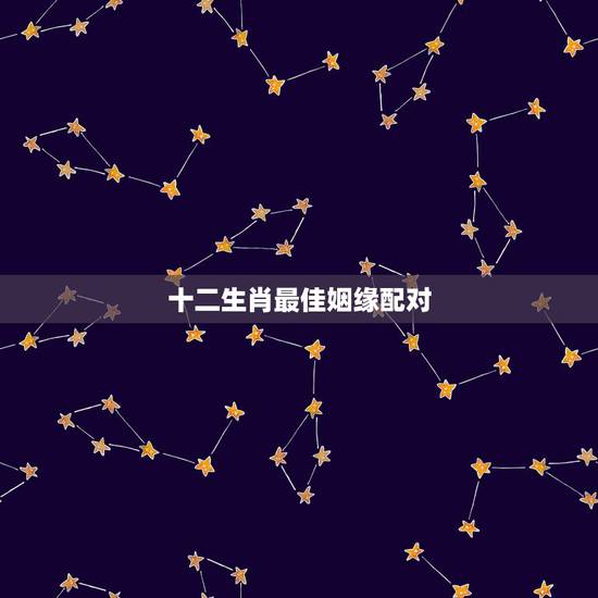 十二生肖最佳姻缘配对，十二生肖姻缘配对