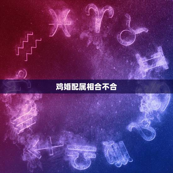 鸡婚配属相合不合，鸡和猪属相合不合