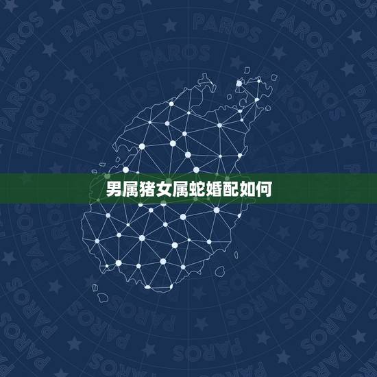 男属猪女属蛇婚配如何，属猪和属蛇的合不合能不能结婚