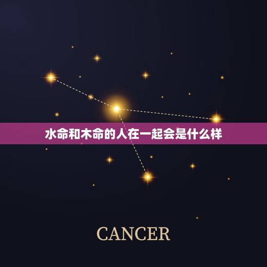 水命和木命的人在一起会是什么样,水命和木命相克吗 水命和木命的人在一起会是什么样,水命和木命相克吗