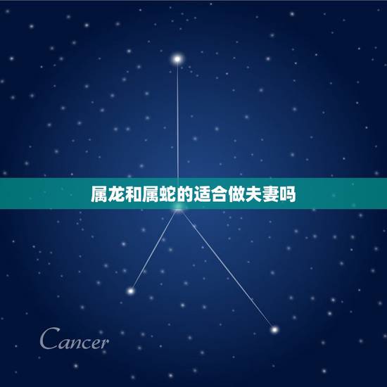 属龙和属蛇的适合做夫妻吗,属龙和属蛇的生什么宝宝好 属龙和属蛇的适合做夫妻吗,属龙和属蛇的生什么宝宝好