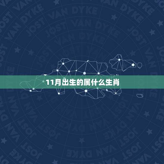 11月出生的属什么生肖，17点出生是属什么生肖