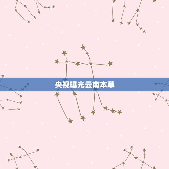 央视曝光云南本草，央视春晚在台湾影响力大吗？