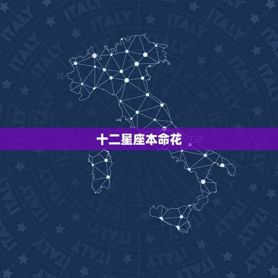 十二星座本命花，十二星座生辰花