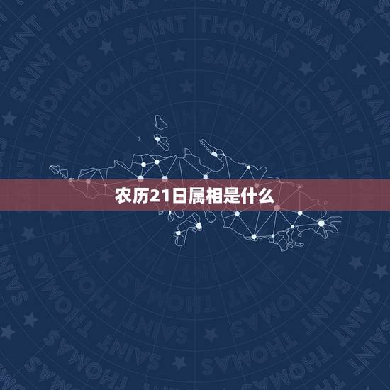 农历21日属相是什么，农历1990年1月21日 属什么生肖 什么星座