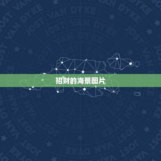 招财的海景图片，淘宝双11的店铺海景房图片 是什么意思 什么样子的图片