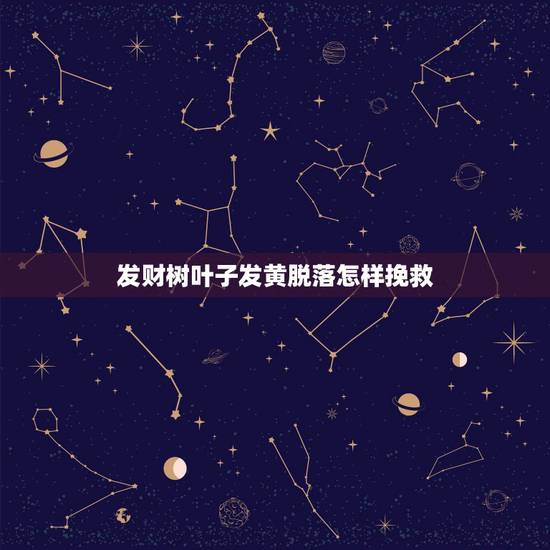 发财树叶子发黄脱落怎样挽救,发财树老叶子发黄怎么救? 发财树叶子发黄脱落怎样挽救,发财树老叶子发黄怎么救?