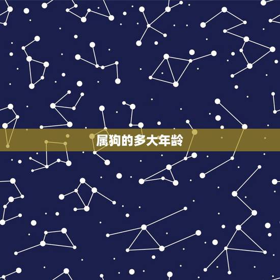 属狗的多大年龄，1970多大年龄2022
