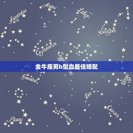 金牛座男b型血最佳婚配，男鼠 金牛座 b型血 婚配女狗 摩羯座 b型血