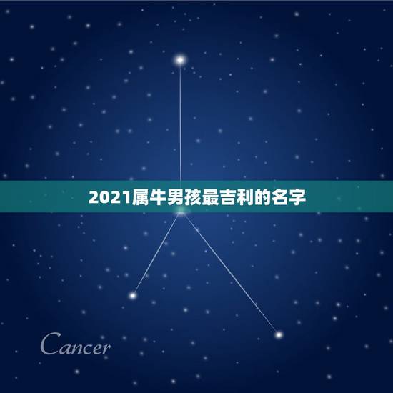2021属牛男孩最吉利的名字，属牛男孩最吉利的名字