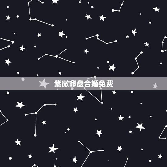 紫微命盘合婚免费，求解一个紫微斗数盘，请真正懂的人帮忙看下，算下我的婚