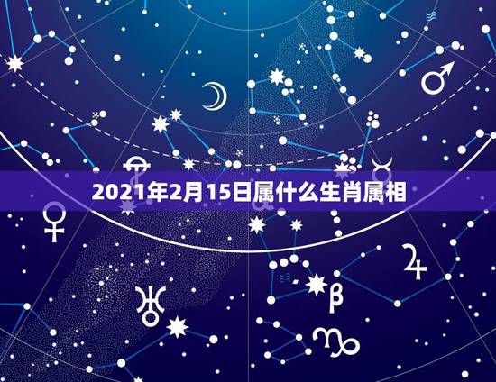 2021年2月15日属什么生肖属相，2021年2月6日属什么生肖