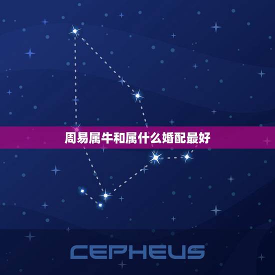 周易属牛和属什么婚配最好，属牛的人和什么属相最配
