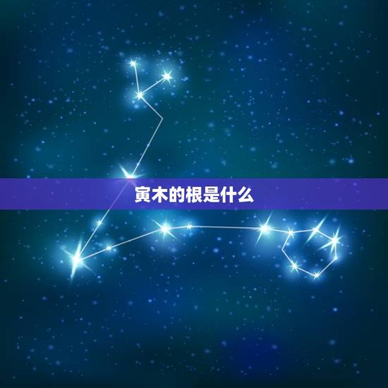 寅木的根是什么,丙火最喜的地支 寅木的根是什么,丙火最喜的地支