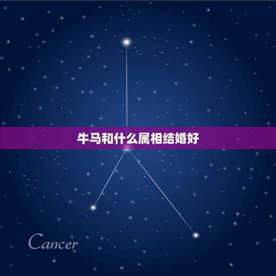 牛马和什么属相结婚好，你们相信属相相配吗？我和我女朋友一个牛一个马，阴