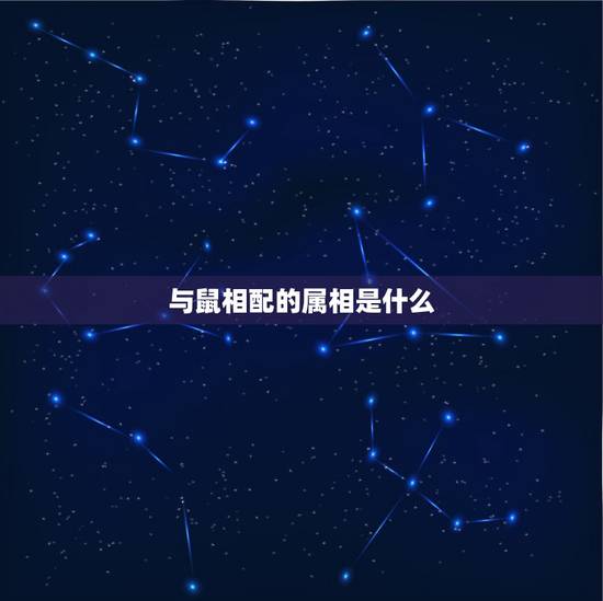 与鼠相配的属相是什么，老鼠跟什么生肖合得来