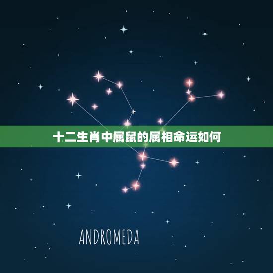 十二生肖中属鼠的属相命运如何,十二属相里面,属相为鼠的人的命运好不好呢 十二生肖中属鼠的属相命运如何,十二属相里面,属相为鼠的人的命运好不好呢