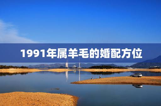 1991年属羊毛的婚配方位,1991年属羊的最佳配偶 1991年属羊毛的婚配方位,1991年属羊的最佳配偶